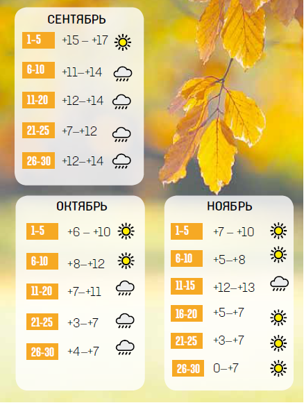 Каким будет октябрь и ноябрь