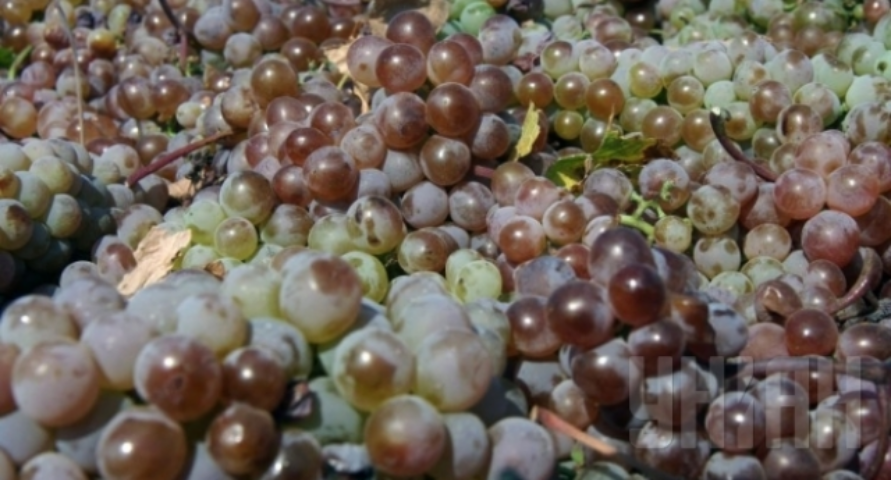 Еврокомиссия выделяет 125 млн евро аграриям, попавшим под санкции РФ