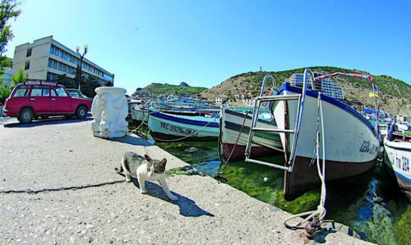 В Крыму началась регистрация недвижимости, механизм которой — находка для мошенников