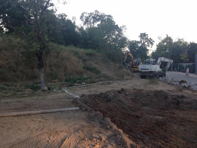 На одесских склонах рубят деревья. Фото