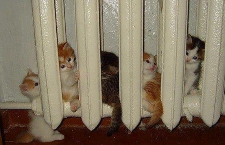 Выделенного лимита газа Киеву мало для качественного отопительного периода - КГГА