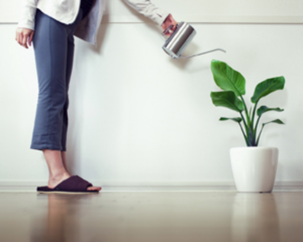 Knight Frank: во II квартале 2014 Нью-Йорк, Лос-Анджелес и Майами вошли в пятерку самых быстрорастущих рынков мира