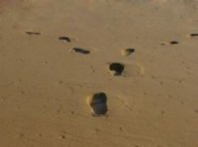 Реорганизация жилищно-строительного кооператива в объединение сособственников многоквартирного дома