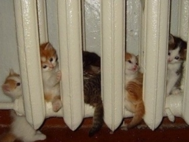 Как украинцам утеплить дом в преддверии зимы