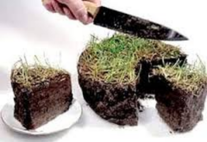 Прокуратура обнаружила захватчиков побережья и сельскохозяйственных угодий