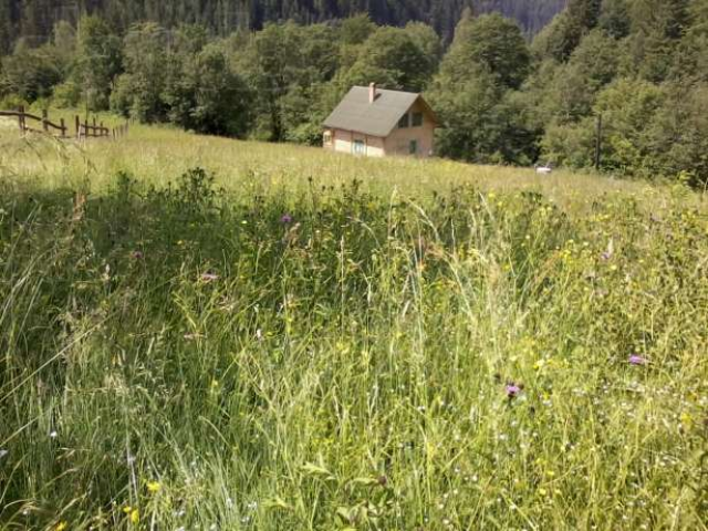 У Земельного кадастра появились новые функции