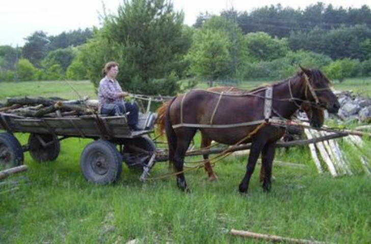За цену двухкомнатной квартиры можно купить дом площадью 100 квадратных метров