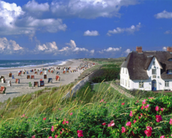 Самый дорогой рынок Германии — остров Зюльт