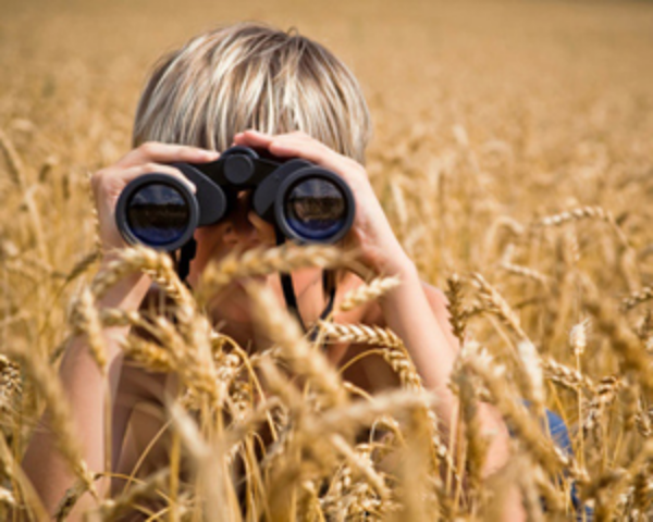 Чек-лист покупателя: что стóит узнать до приобретения недвижимости