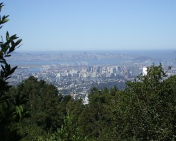 Рейтинг самых быстрорастущих рынков недвижимости США