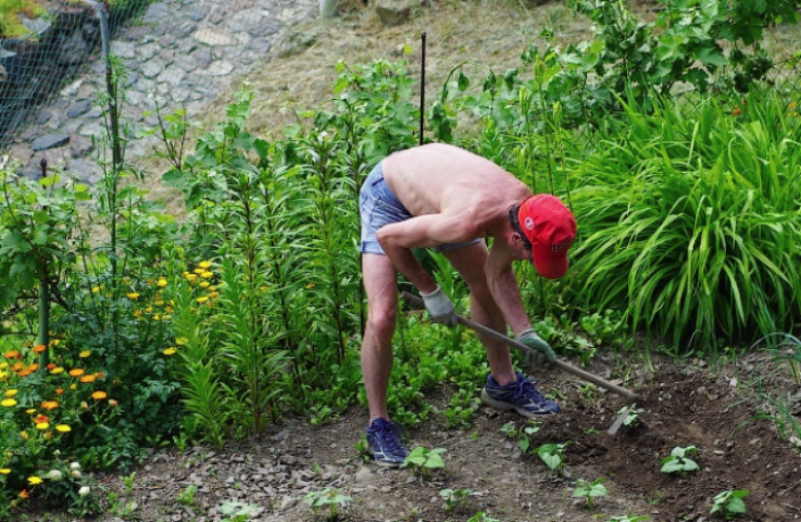 Верховная Рада разрешит прописку в дачных домах 