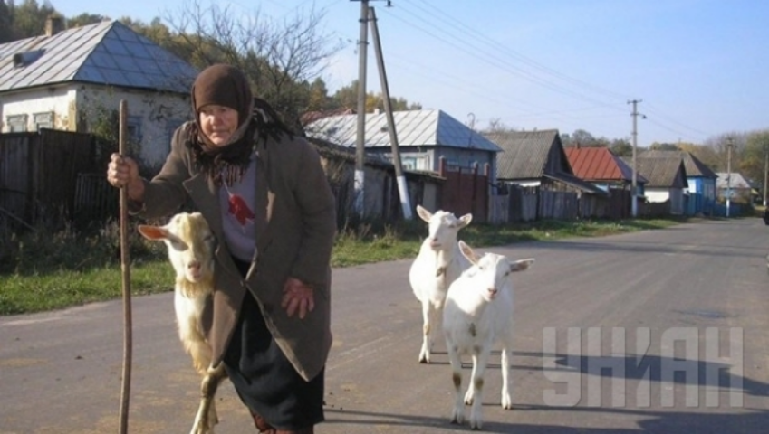 В Украине стало меньше экономически активного населения