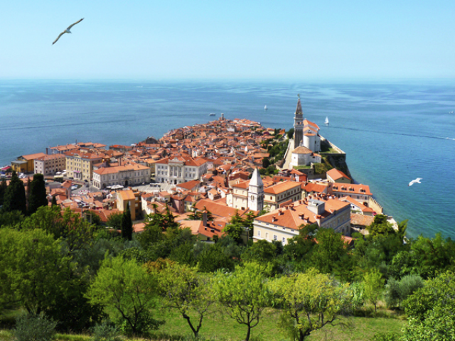 Популярные рынки Словении: где и что стоит покупать россиянам