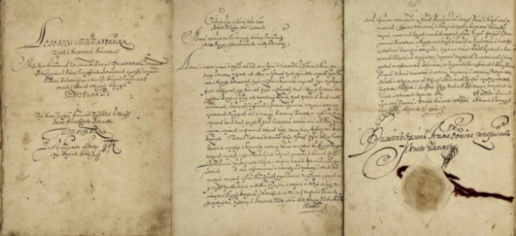 Сила Конституции: как жить по-новому