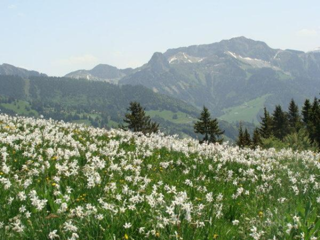 Отдых на майские: что, где, почем?