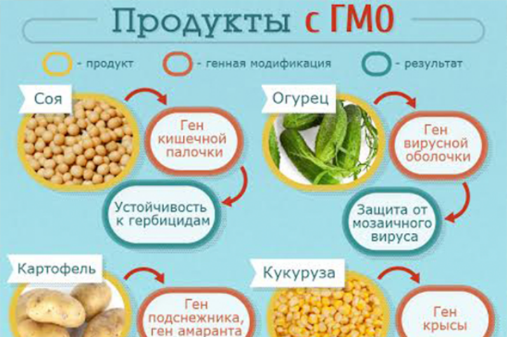 Модифицированный соя. Семена сои. Трансгенная соя. Генномодифицированная соя. Соевые бобы семена.
