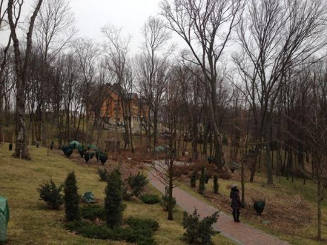 Тарас Чорновил считает, что Межигорье нужно продать. Фото