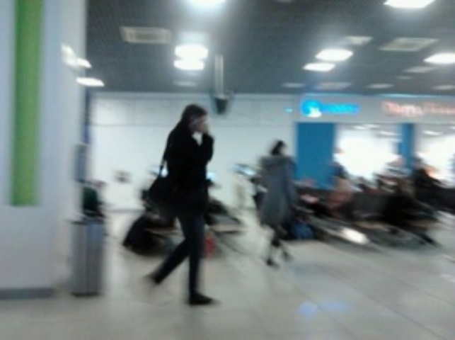 Вони втікають! Окрім Царьова, у віп-терміналах аеропорту в Жулянах помічені Бондаренко, Левченко і Бахтеєва
