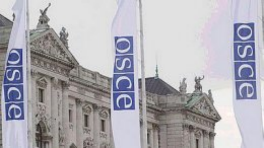 В ОБСЕ придумали план помощи Украине