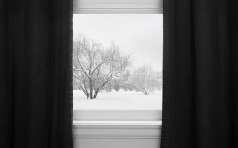 Как правильно бороться с насекомыми?