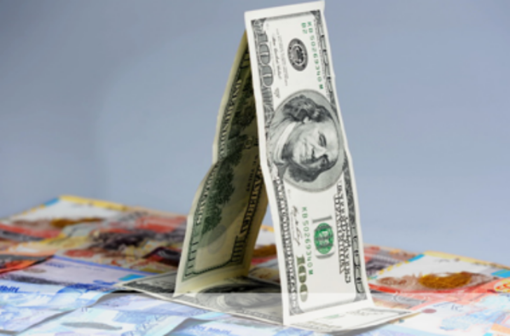 Почему в Украине лихорадит доллар