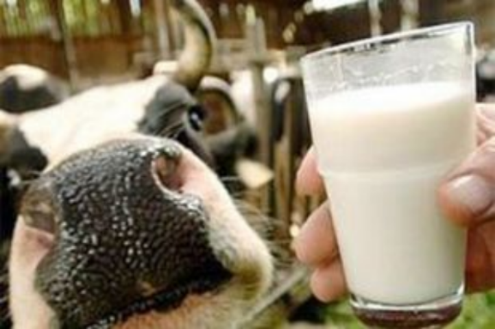 Споры о молоке: чем полезен и вреден первый продукт