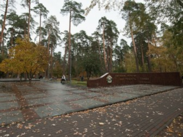 В Киеве незаконно уничтожают зеленые насаждения