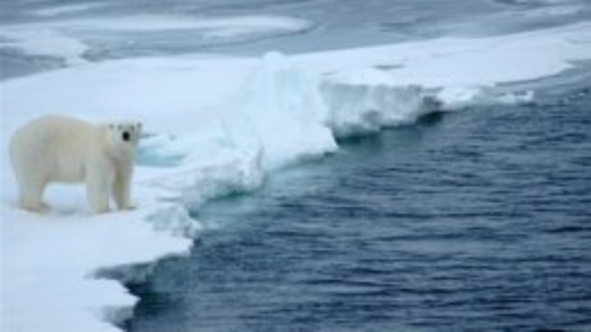 Кто платит отрицающим глобальное потепление ученым и политикам