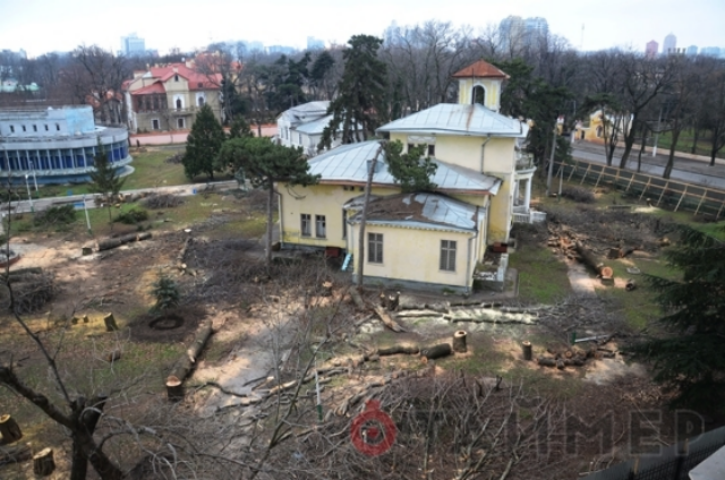 Вырубленный парк «Магнолии» оценили в 600 тысяч гривен. Фото