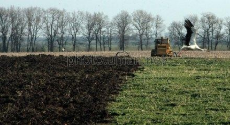 Госзембанк опровергает информацию о скупке им земель сельхозназначения