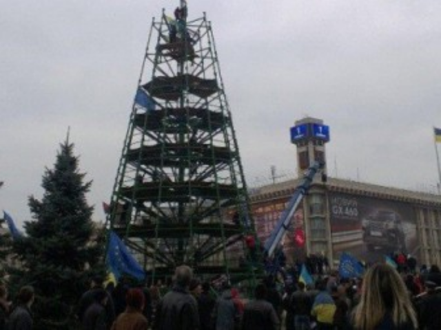 Киевлян попросили подсказать, где установить главную новогоднюю елку