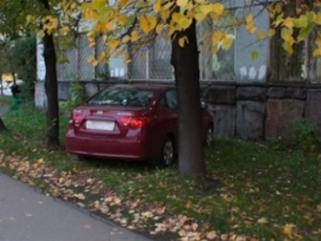 Киевсовет проверит парковки в зеленых зонах и автомойки