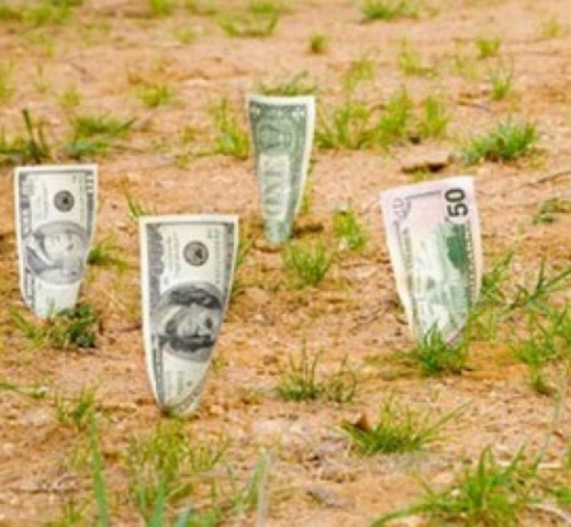 Долг по плате за землю в Севастополе вырос в 30 раз