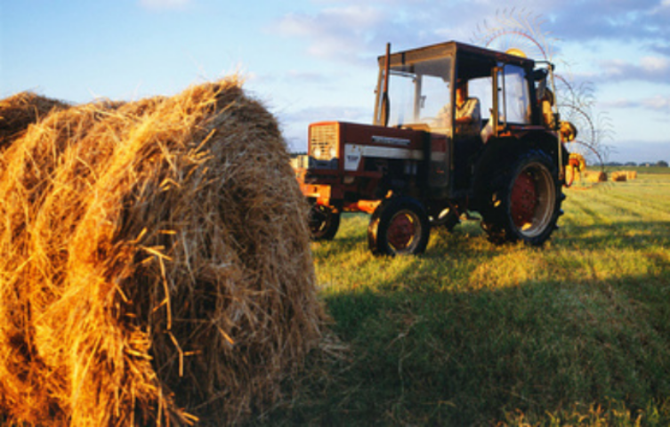 5 иностранных «коллег» Зембанка