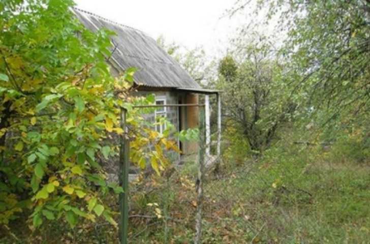 Украинцам хотят дать возможность зарегистрироваться на даче 