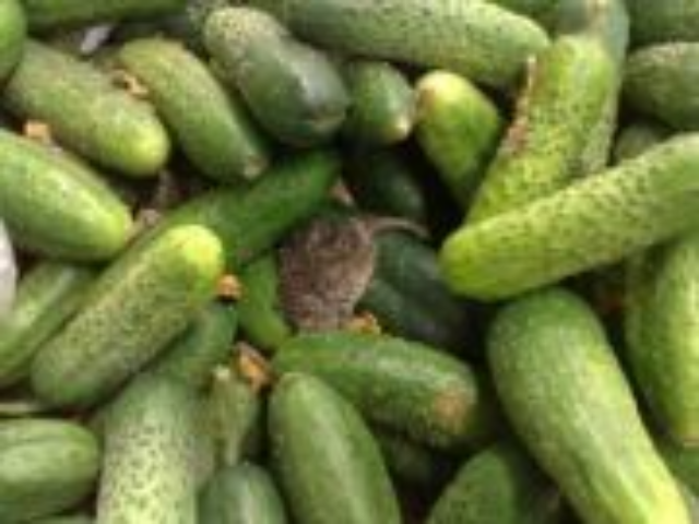 Как поступать с некачественными товарами и продуктами