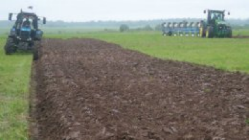 В Украине почти 14% сельхозугодий используются незаконно