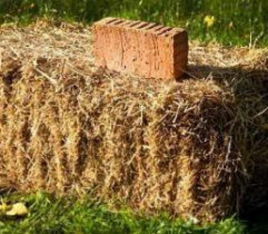 Большинству жителей Крыма оказалось безразличным влияние жилья на здоровье 