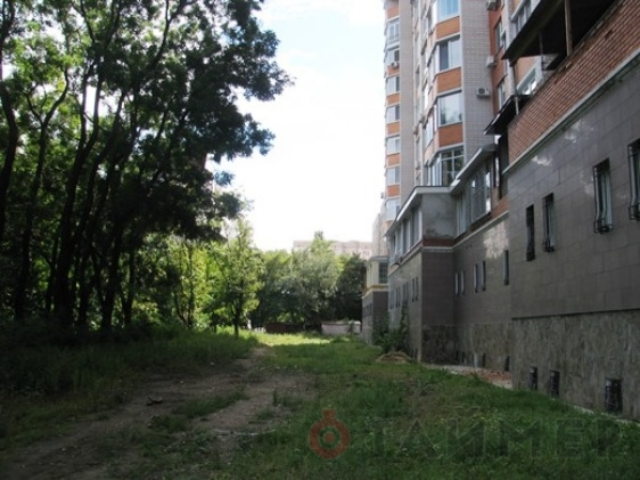 Мэрия решила установить границы парка Победы. Фото