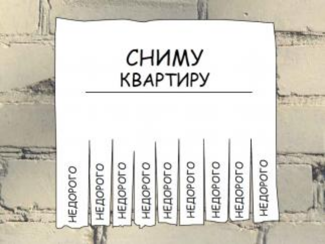 Аренда квартир в Киеве: цены не взлетают