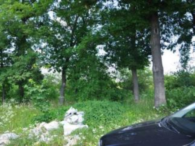 В Киеве ограничат раздачу бесплатных земельных участков