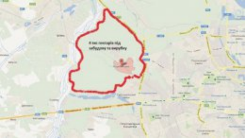 На сессии Киевсовета рассмотрят вопрос спасения Беличанского леса