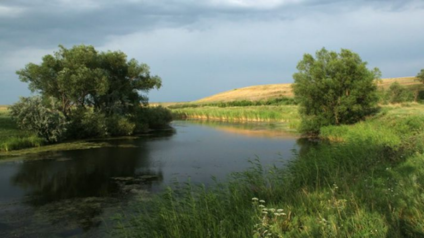 Отравленная вода украинских водоемов сокращает жизнь