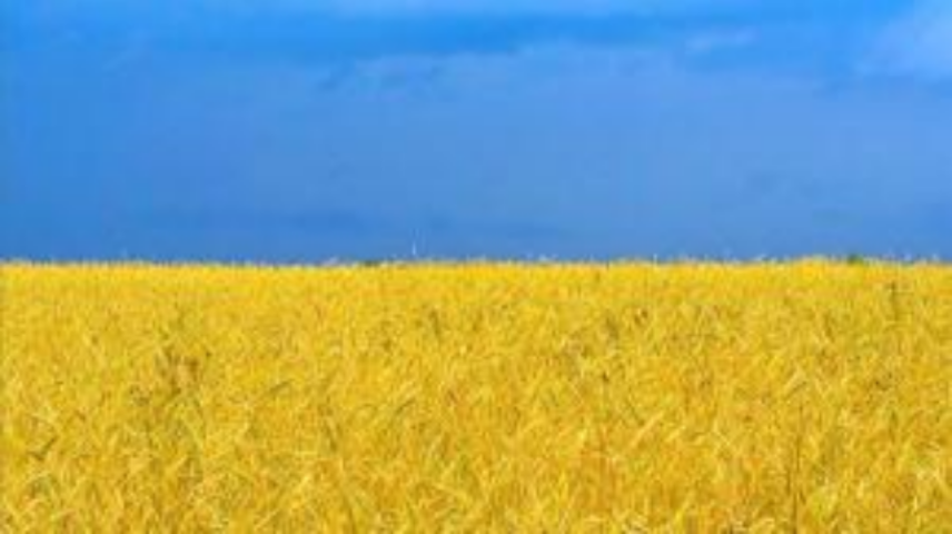 ТОП-5 регионов Украины, где готовы жить иностранцы