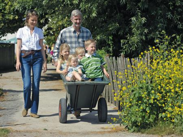 Не страшний нам сірий вовк: від чого можна застрахувати школяра