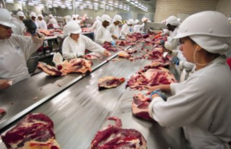 Подложили свинью: почему украинцы обречены есть бразильское сало