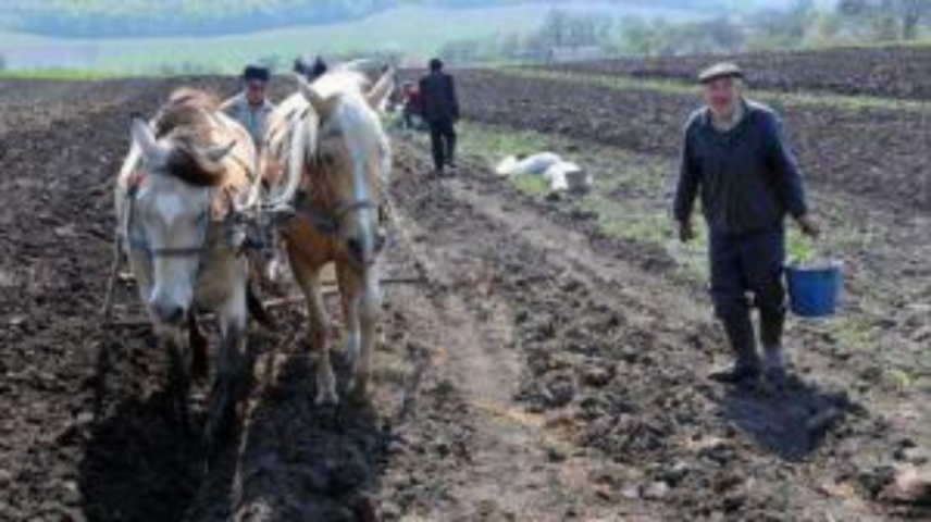 Государственный земельный банк отчитался о прибыли в 260 тыс. грн