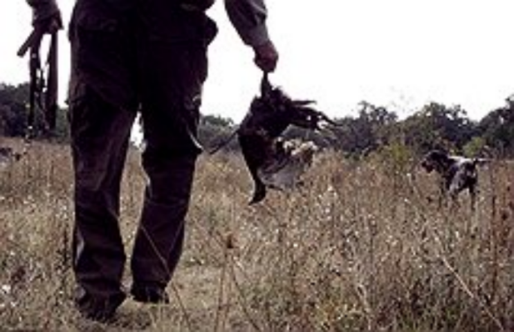 Дорога каждая особь