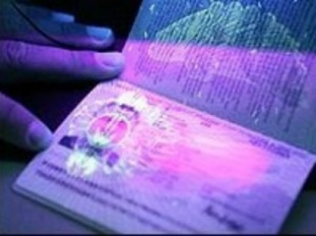 Биометрические паспорта могут начать выдавать в конце 2013 года