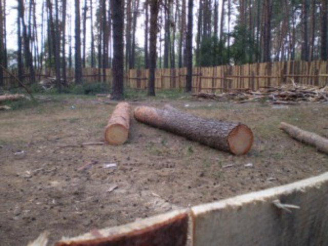 Беличанский лес получит документы на землю